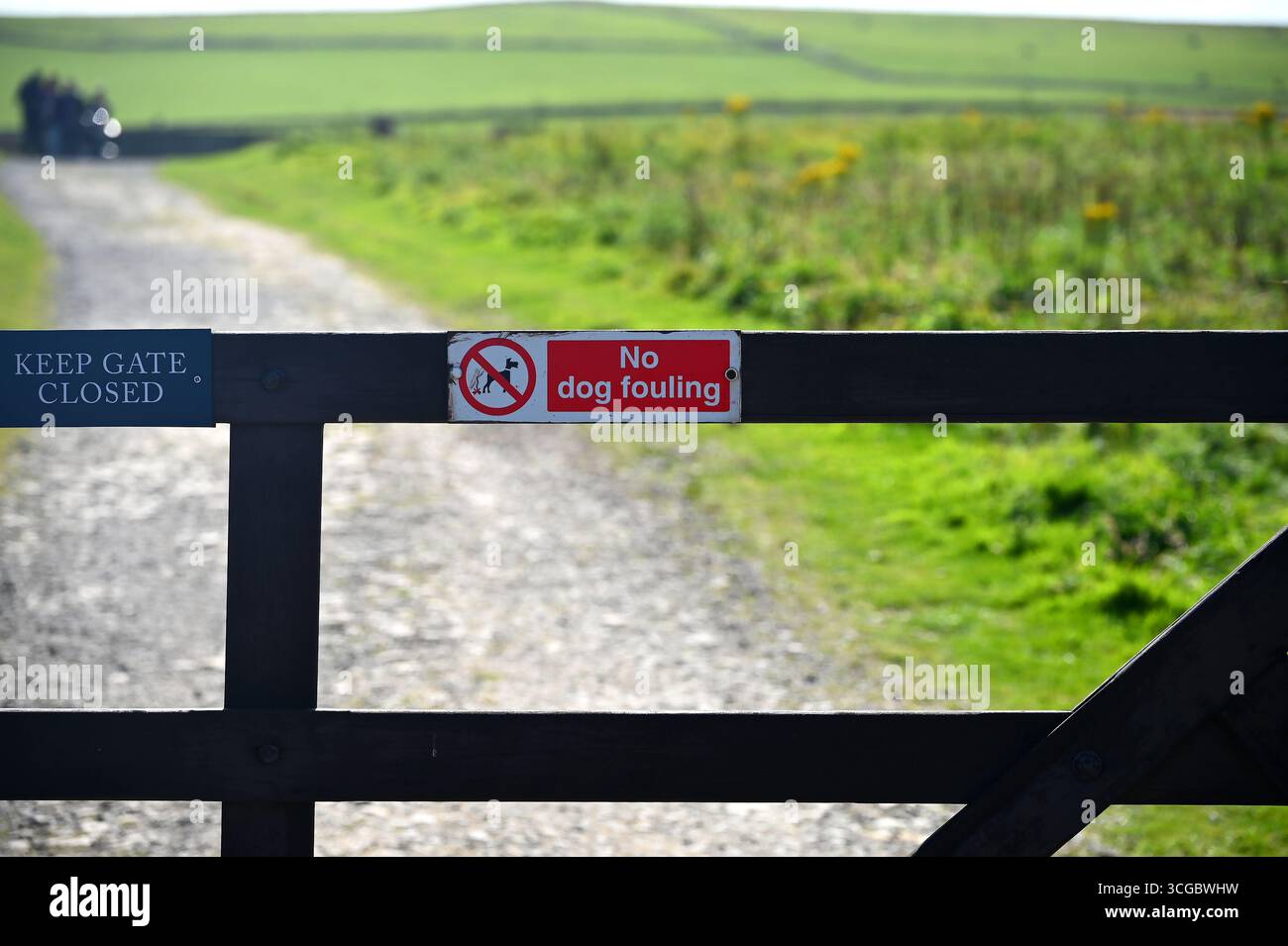 Humerous Sign in Scotland incentrato sui proprietari di animali domestici - "No Dog Fouling" Foto Stock