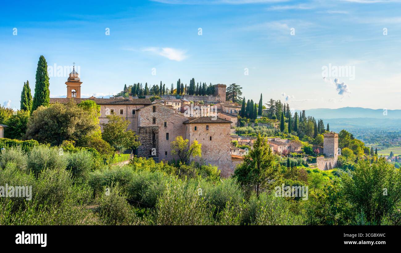 Lo skyline del borgo medievale di Spello e gli ulivi in primo piano. Provincia di Perugia, regione Umbria, Italia, Europa. Foto Stock