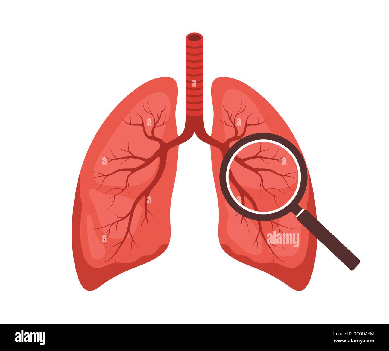 Malattia polmonare. Organo interno umano con grande lente di ingrandimento. Diagnosi e trattamento medico dei polmoni. Illustrazione vettoriale in stile cartone animato piatto Illustrazione Vettoriale