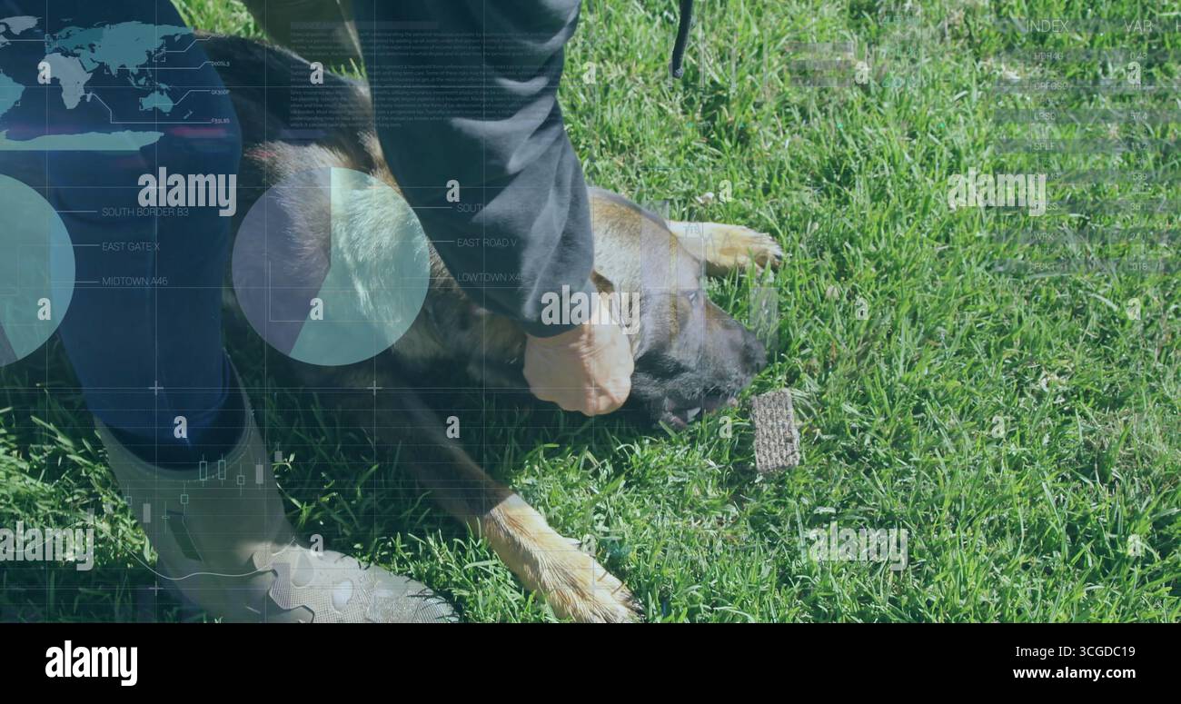 Operatore inginocchiato che tiene una testa di cane grande sul campo erboso, con giocattolo da allenamento e stivali di gomma Foto Stock