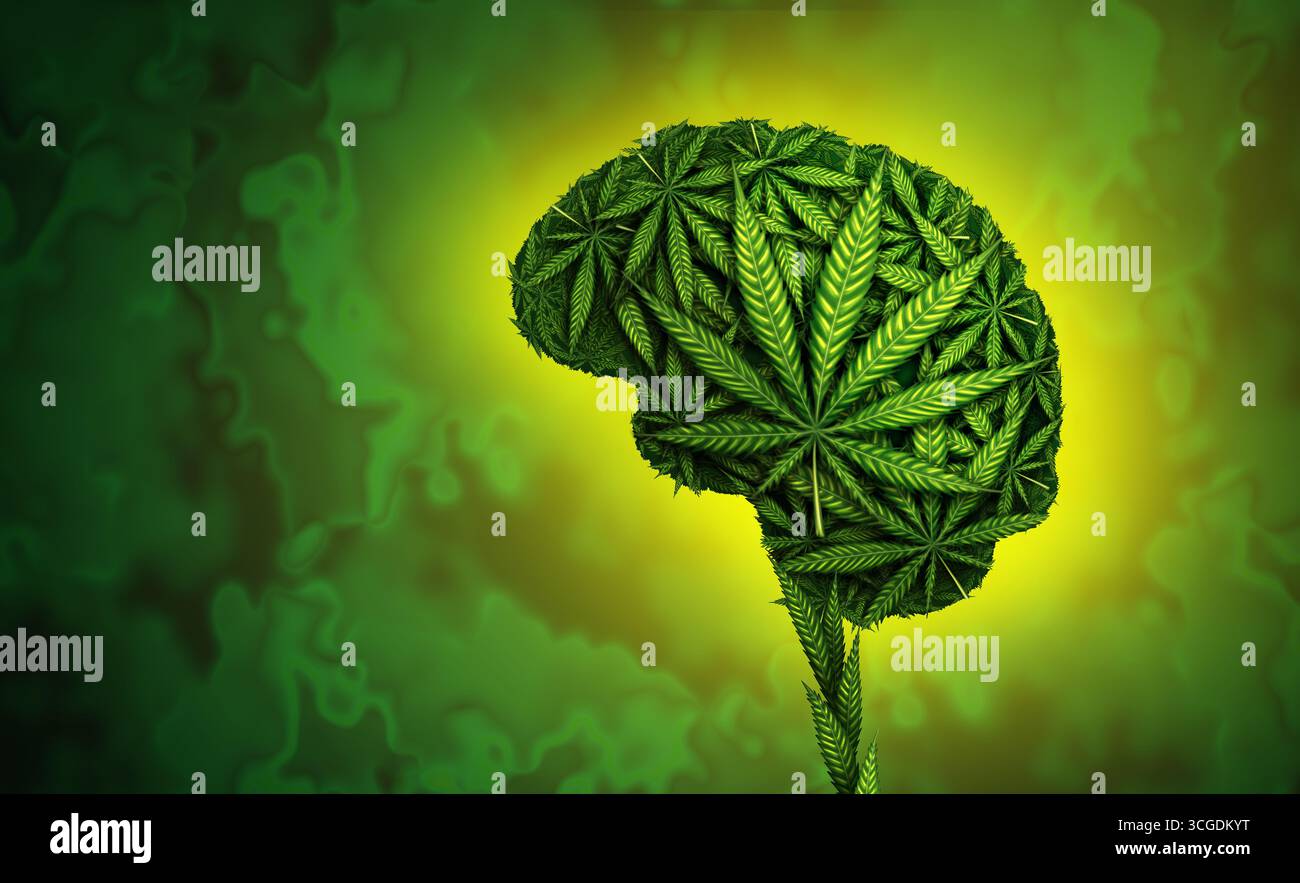 Effetti della cannabis sul cervello e sulla marijuana rischi per la salute o pericoli per il fumo di erba con funzione cognitiva come testa umana con come pentola ricreativa o h Foto Stock