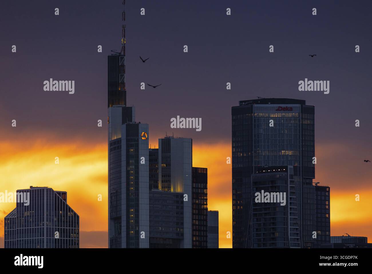 Uccelli che volano sopra le torri della sponda dello skyline di Francoforte al tramonto, Francoforte sul meno, Assia, Germania Foto Stock