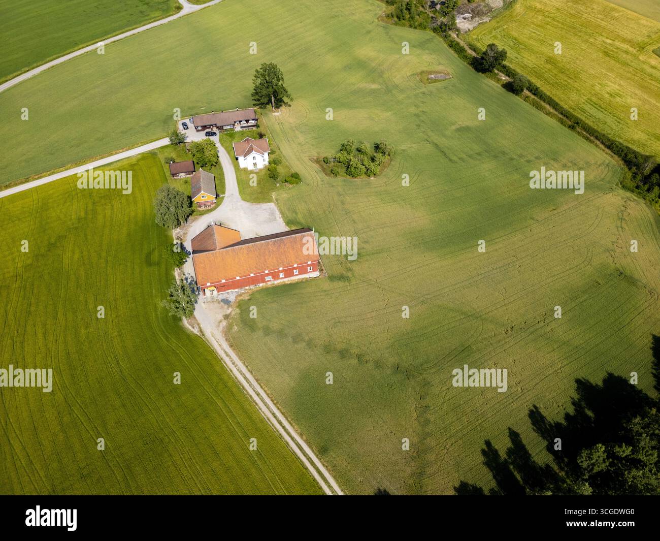 Veduta aerea di un classico fienile dal tetto rosso annidato tra i vibranti campi verdi, un ambiente tranquillo della vita rurale, Heddal, Telemark, Norvegia. Foto Stock