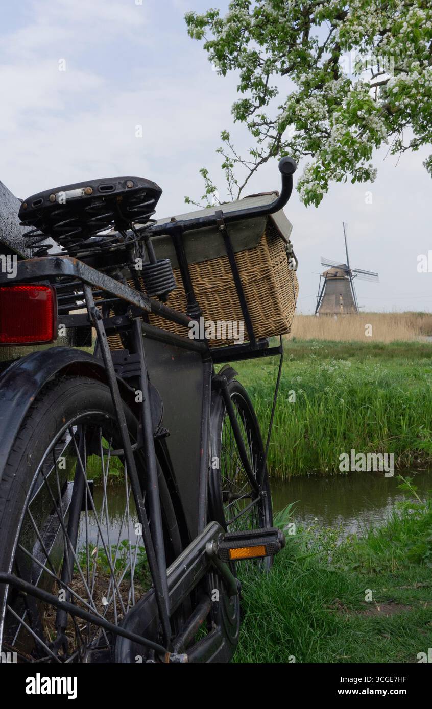 Ciclo a pedali d'epoca con vista sulla vecchia pompa a vento, Kinderdijk, paesi bassi, Foto Stock