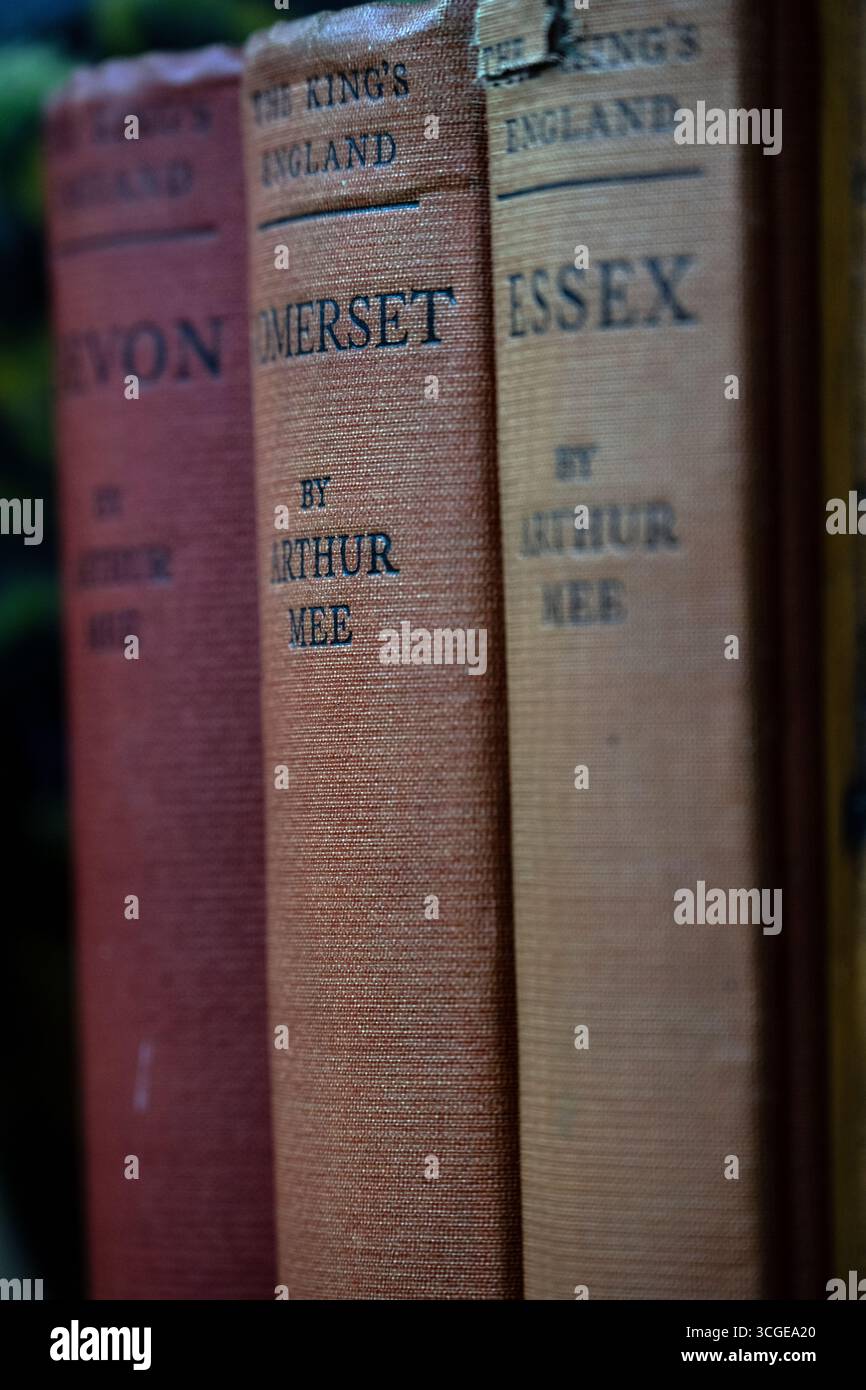 libri di viaggio vintage sulla libreria, suffolk, inghilterra Foto Stock