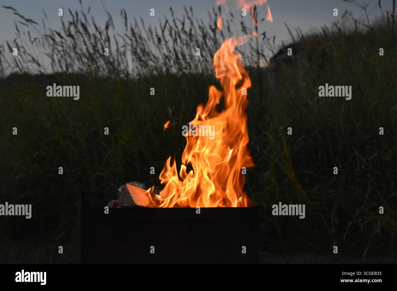 Alte fiamme arancioni che si innalzano da una fossa di metallo all'aperto al crepuscolo. Foto Stock