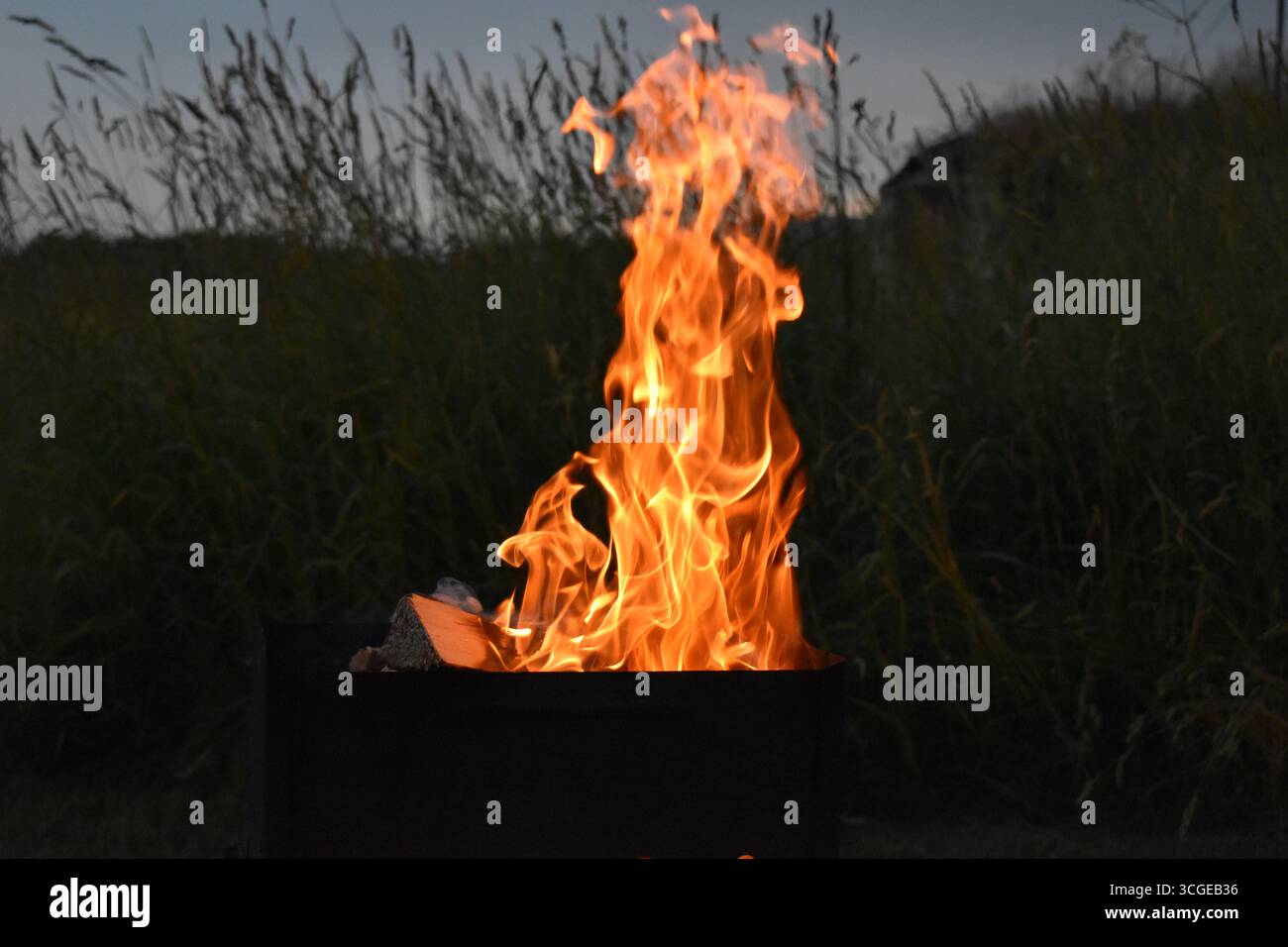 Alte fiamme arancioni che si innalzano da una fossa di metallo all'aperto al crepuscolo. Foto Stock