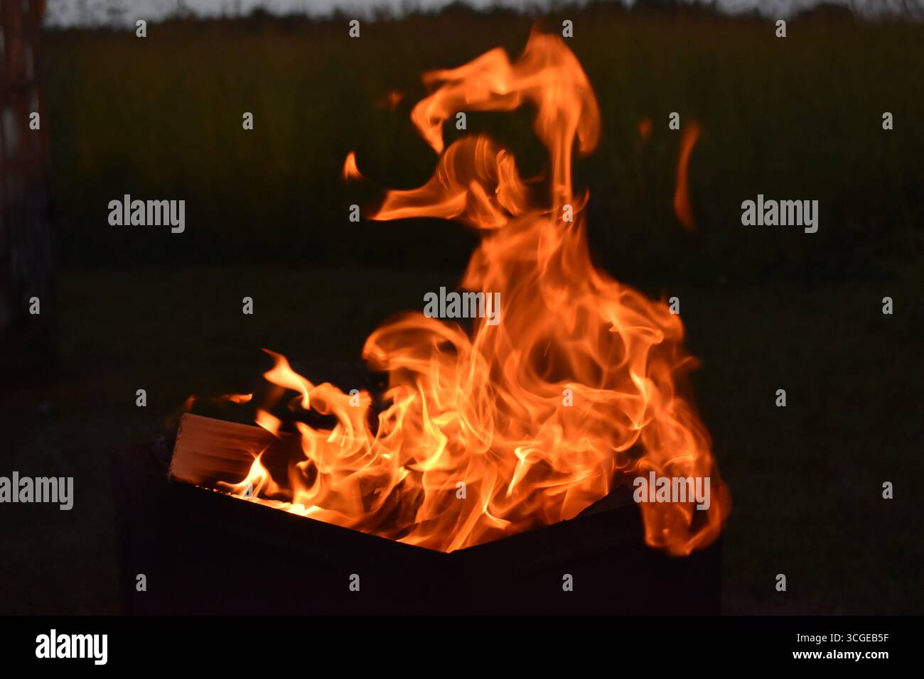 Alte fiamme arancioni che si innalzano da una fossa di metallo all'aperto al crepuscolo. Foto Stock