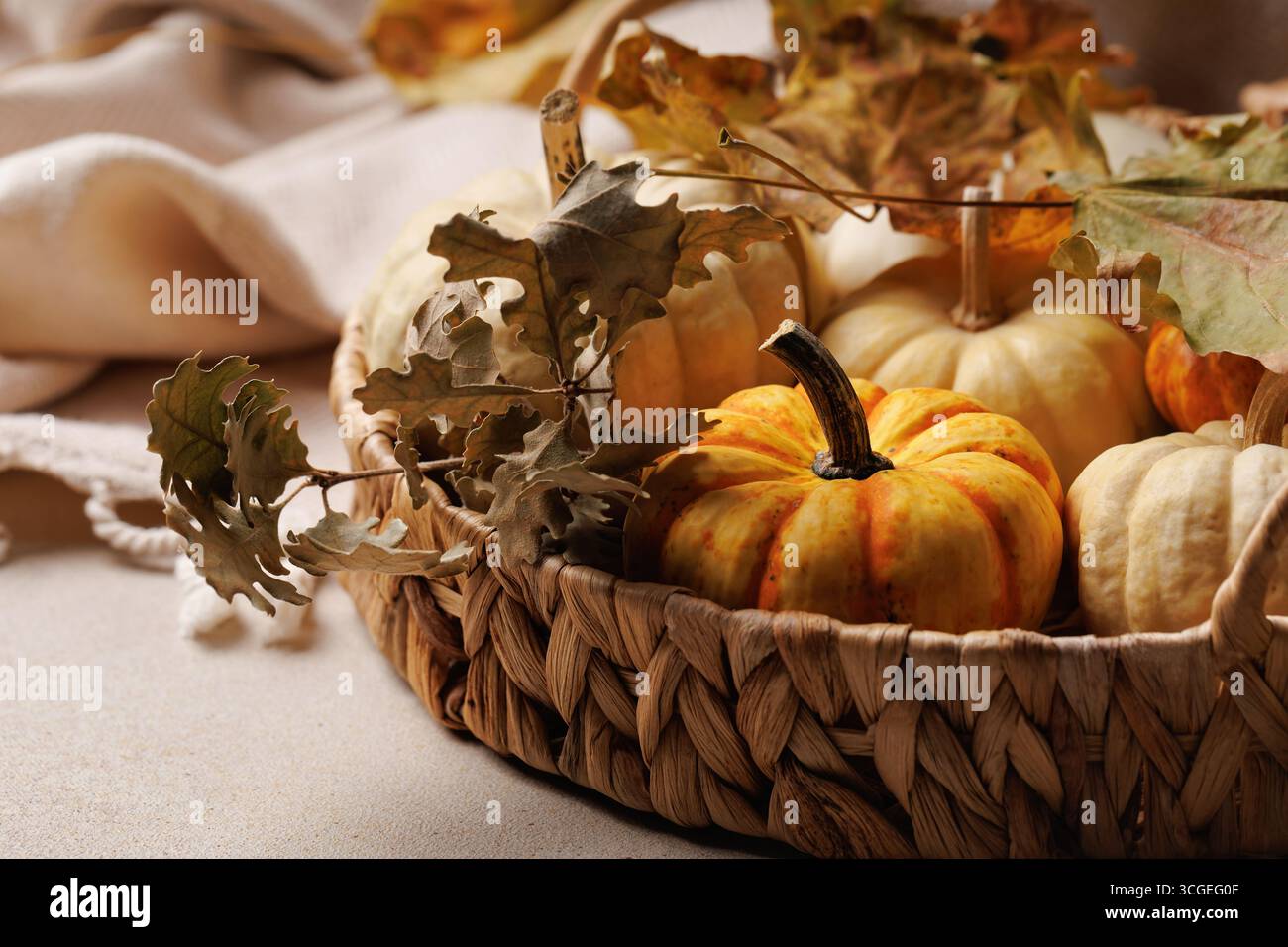 Cestino autunnale con zucche e foglie di quercia Foto Stock
