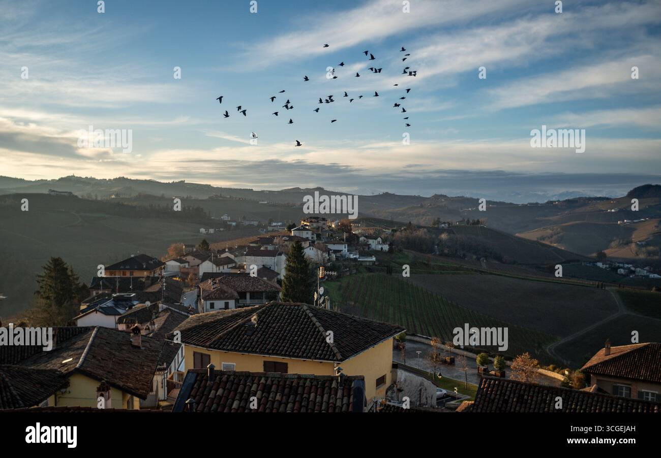 Uccelli nel Castello di Serralunga d'Alba, Piedmonte Italia Foto Stock