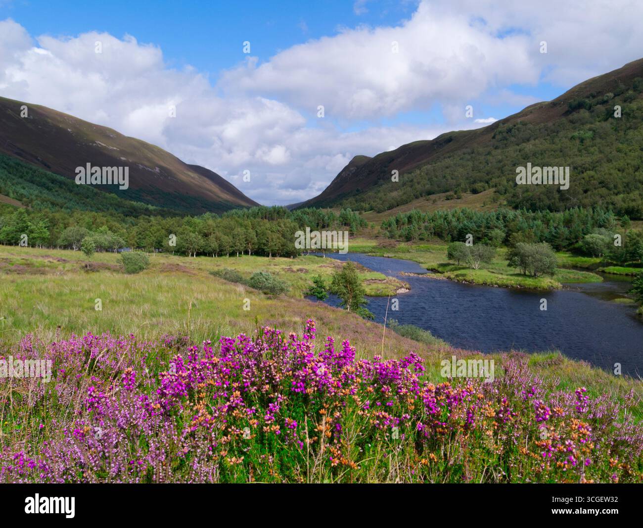 Alladale Wilderness Reserve, Sutherland Foto Stock