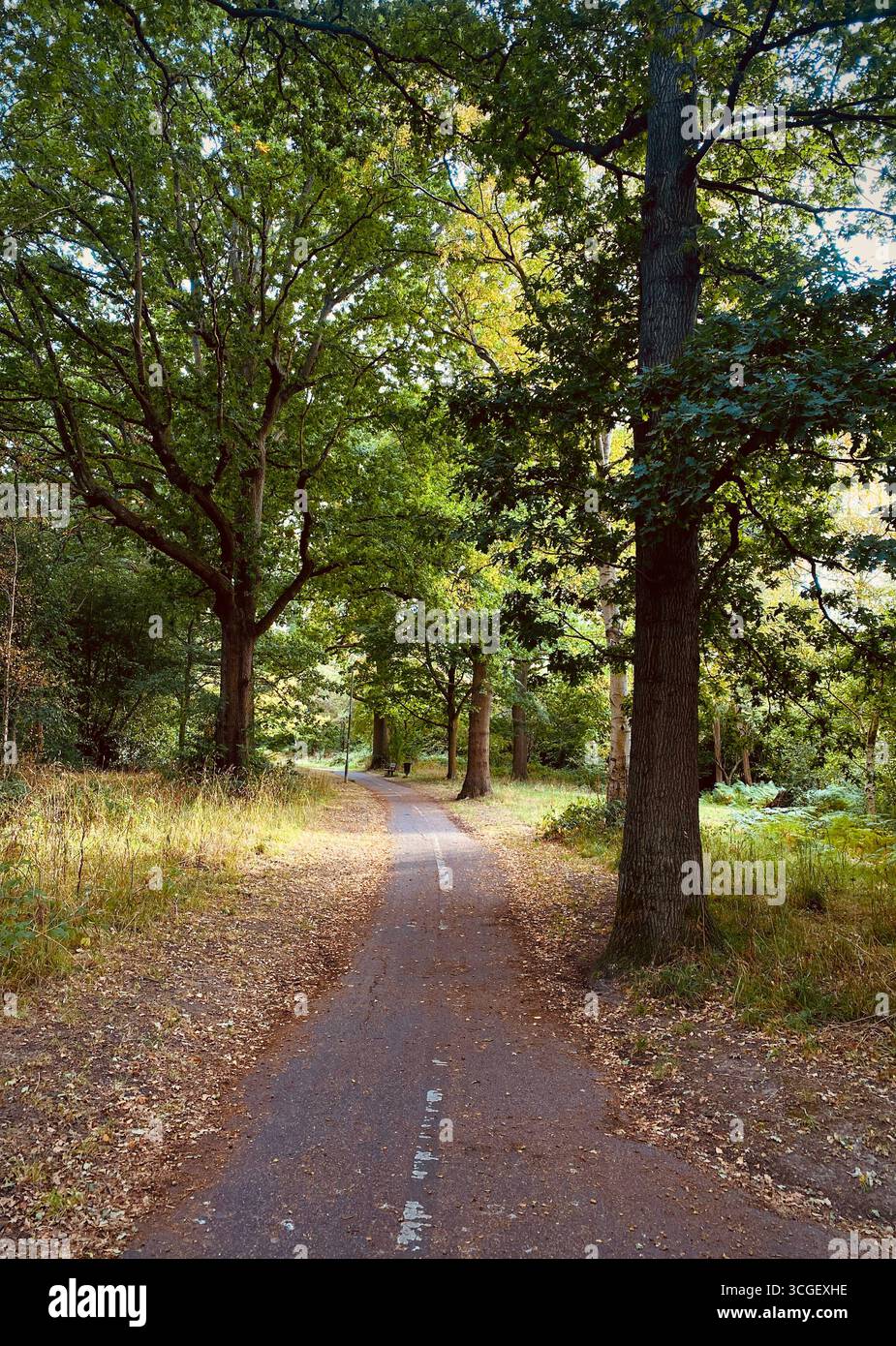Percorso combinato pedonale e pista ciclabile, vicino al centro di Crawley Foto Stock