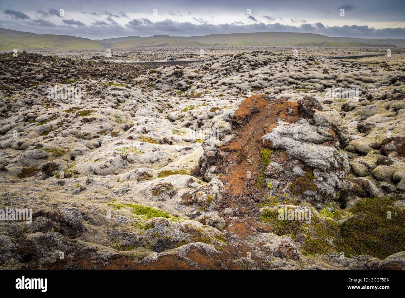 Il muschio copriva i campi di lava a Gonguleid um Eldhraun, Islanda Foto Stock