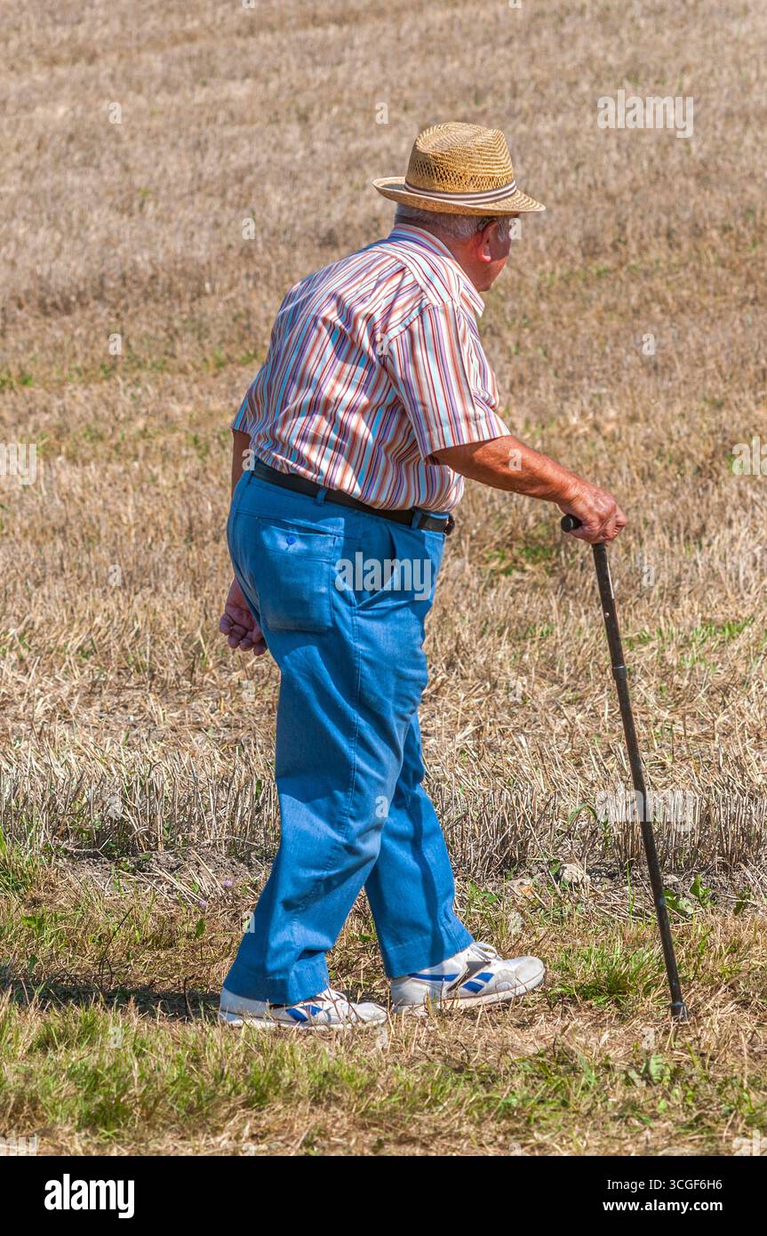 Contadino in pensione vestito in modo intelligente con bastone da passeggio che guarda attraverso i terreni agricoli - Châtillon-sur-Indre, Indre (36), Francia. Foto Stock