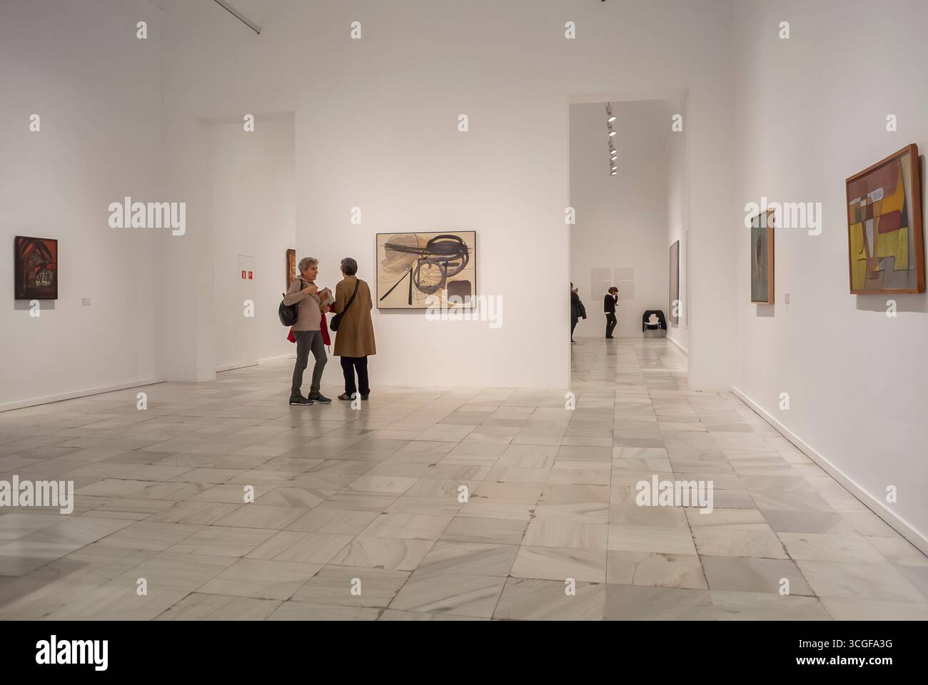 Madrid, Spagna, Wide Angle View, donne in visita, Arte moderna, dipinti, Museo Nazionale, Regina Sofia, Galleria d'Arte Foto Stock