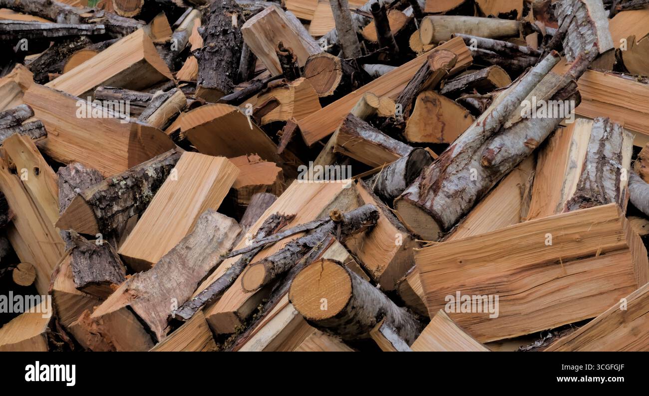 Una pila di legna da ardere appena tagliata: Appena tagliata sotto la pioggia Foto Stock