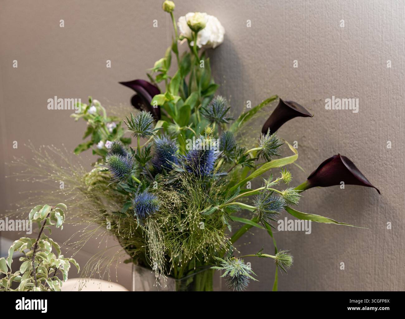 Una sofisticata disposizione floreale caratterizzata da vivaci cardo, eleganti gigli scuri e delicati garofani bianchi in un vaso. perfetto per aggiungere eleganza Foto Stock