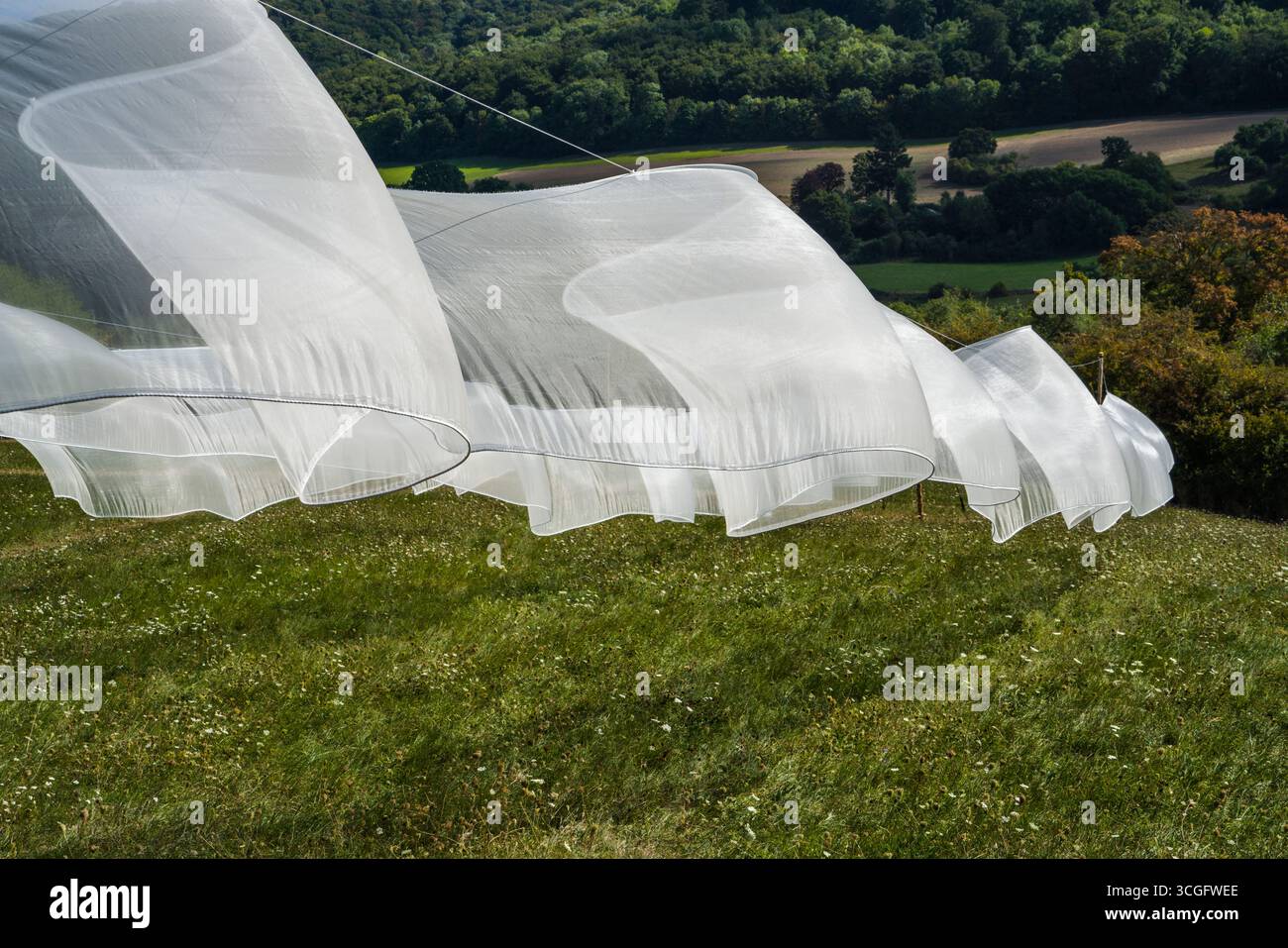 L'installazione ' Aurora ' di Kirsten Sauer (kisa.), 12° festival di arte del vento 2025, 'bewegter wind', Zierenberg, Assia, Germania, Europa Foto Stock