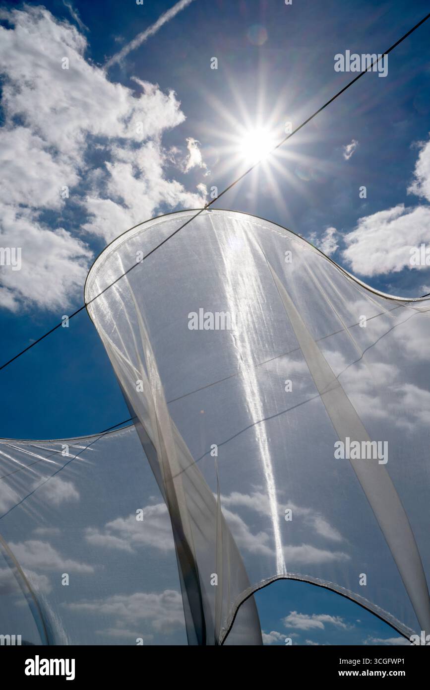 L'installazione ' Aurora ' di Kirsten Sauer (kisa.), 12° festival di arte del vento 2025, 'bewegter wind', Zierenberg, Assia, Germania, Europa Foto Stock