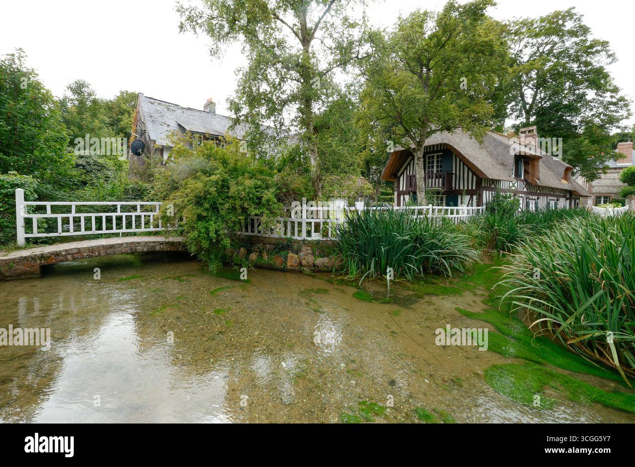 VEULES LES ROSES FRANCIA Foto Stock