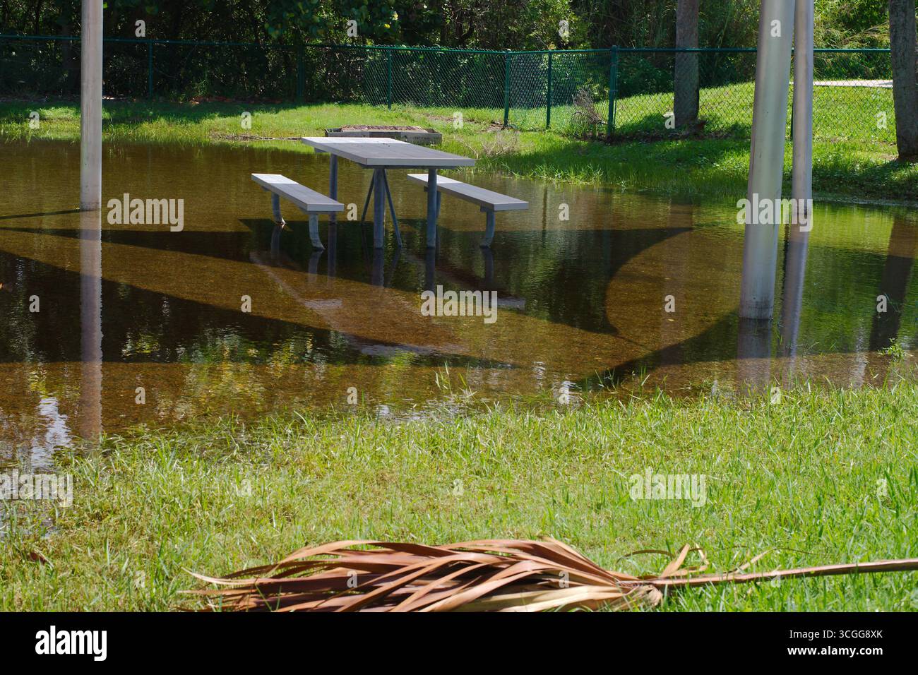 Area parco allagata con tavolo da picnic e alberi riflessi sott'acqua. Tranquillo parco con area per picnic circondata da lu Foto Stock