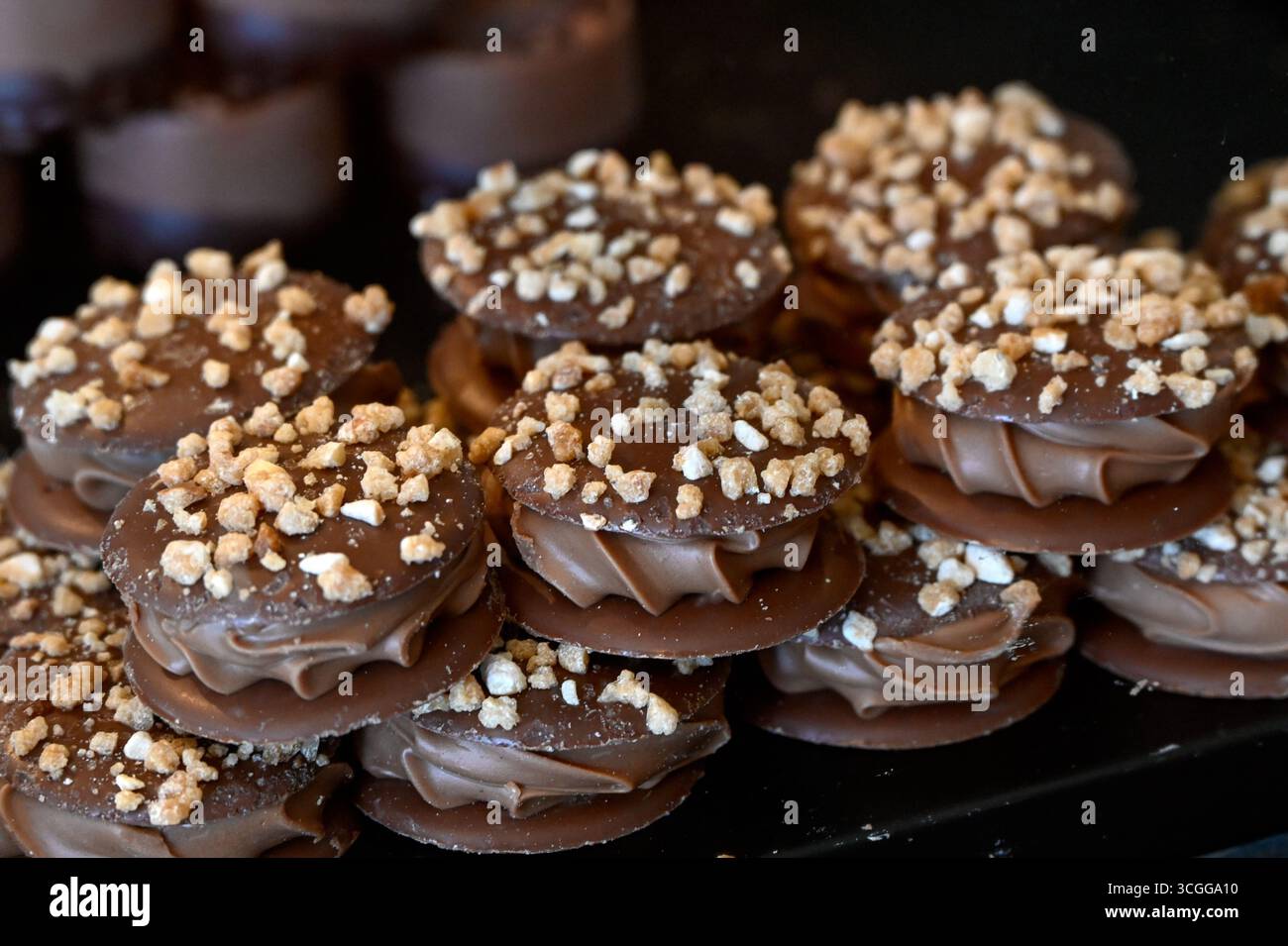 Esposizione di cioccolatini artigianali alle nocciole Foto Stock