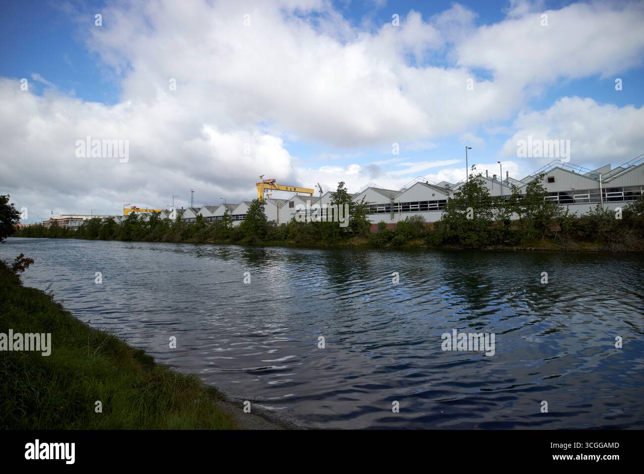 il lago victoria park si affaccia sull'acqua del connect verso l'ex fabbrica di aerei da cortometraggio bombardier east belfast, irlanda del nord, regno unito Foto Stock