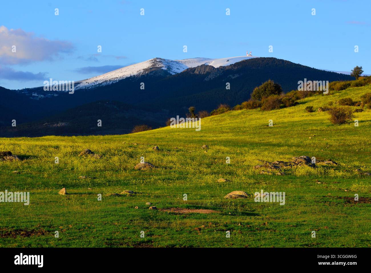 La cima Guarramillas, conosciuta come Bola del Mundo (ballo del mondo), vista dai pascoli di Los Molinos nella Comunità di Madrid, Spagna Foto Stock