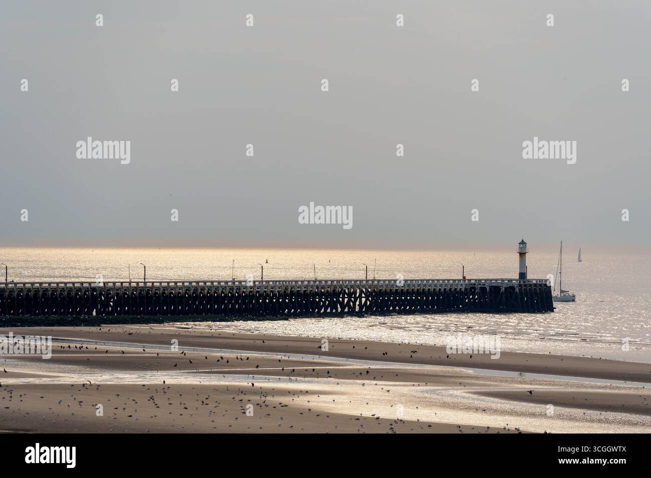 Golden Hour Coastal Scene con faro Foto Stock
