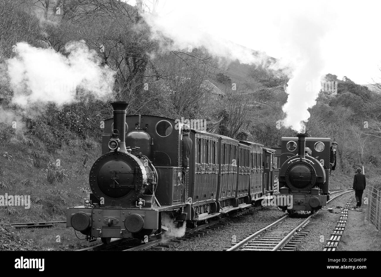 'Dolgoch' e allenati sul raccordo a Brynglas mentre 'Talyllyn' passa sulla linea principale. Foto Stock