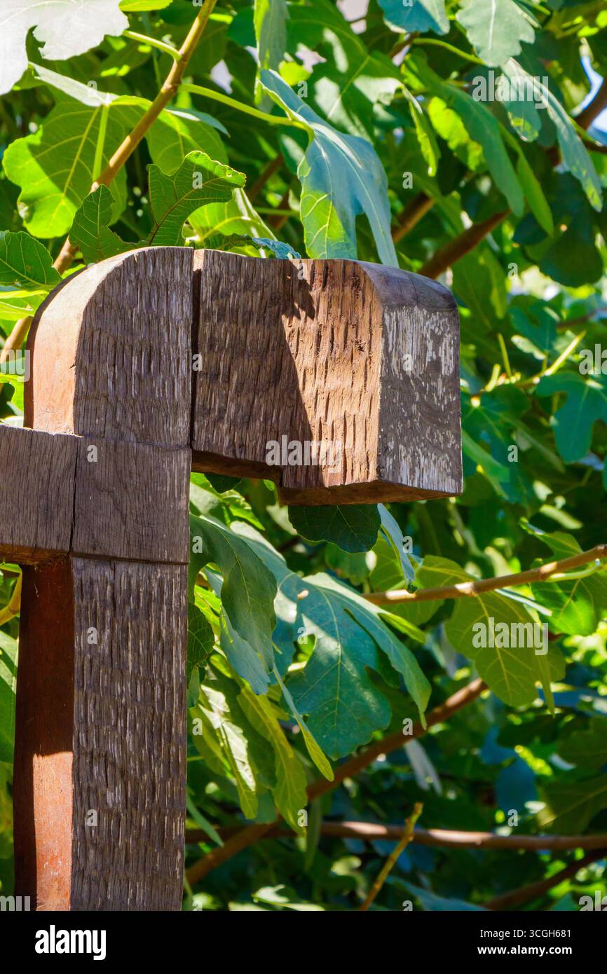Una struttura rustica in legno parzialmente nascosta tra vibranti foglie verdi crea un'atmosfera serena in un tranquillo giardino sotto la luce del sole, in alto Foto Stock