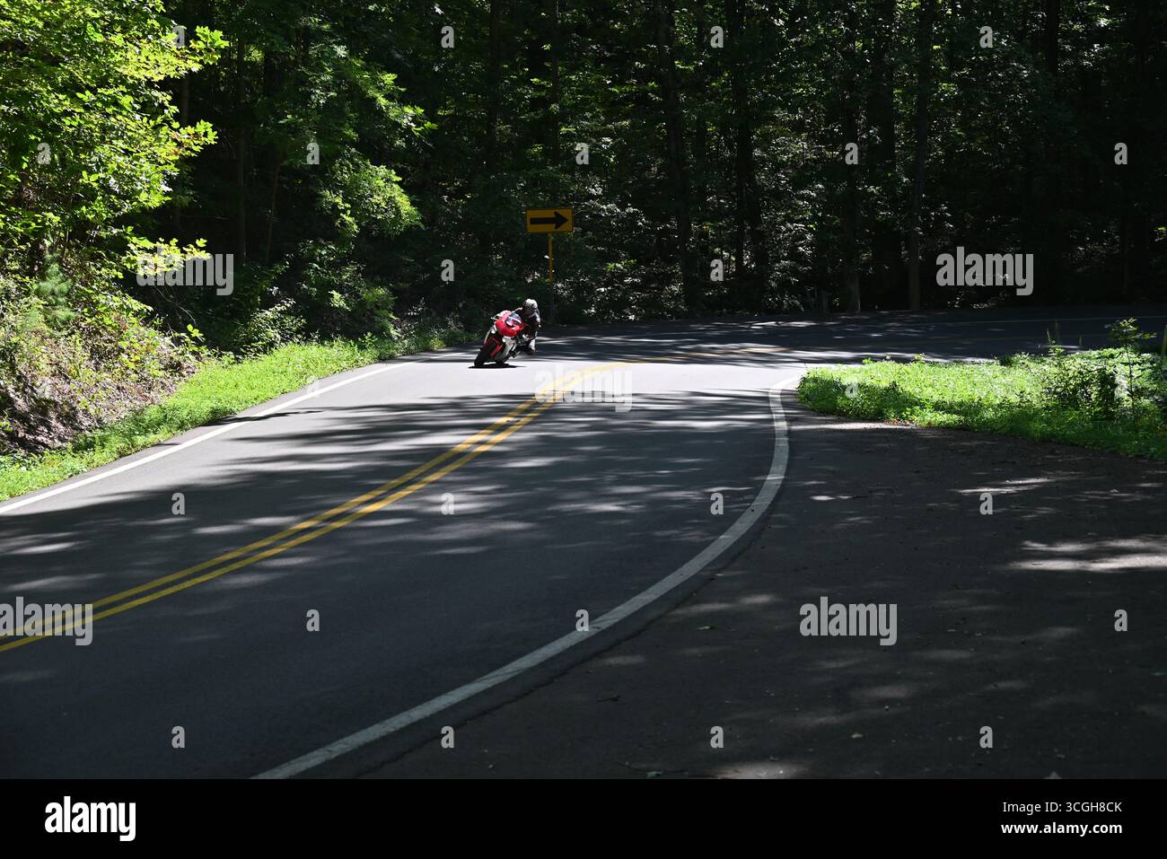 Una motocicletta si appoggia su una curva durante la guida sulla coda del drago in North Carolina Foto Stock