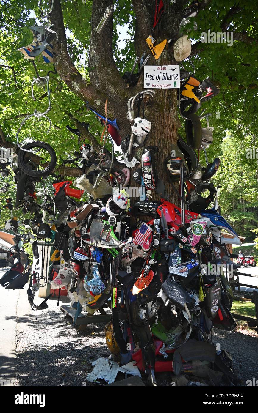 L'albero della vergogna, drappeggiato con parti rotte di moto e auto che hanno perso il controllo e distrutto la coda del Drago Foto Stock