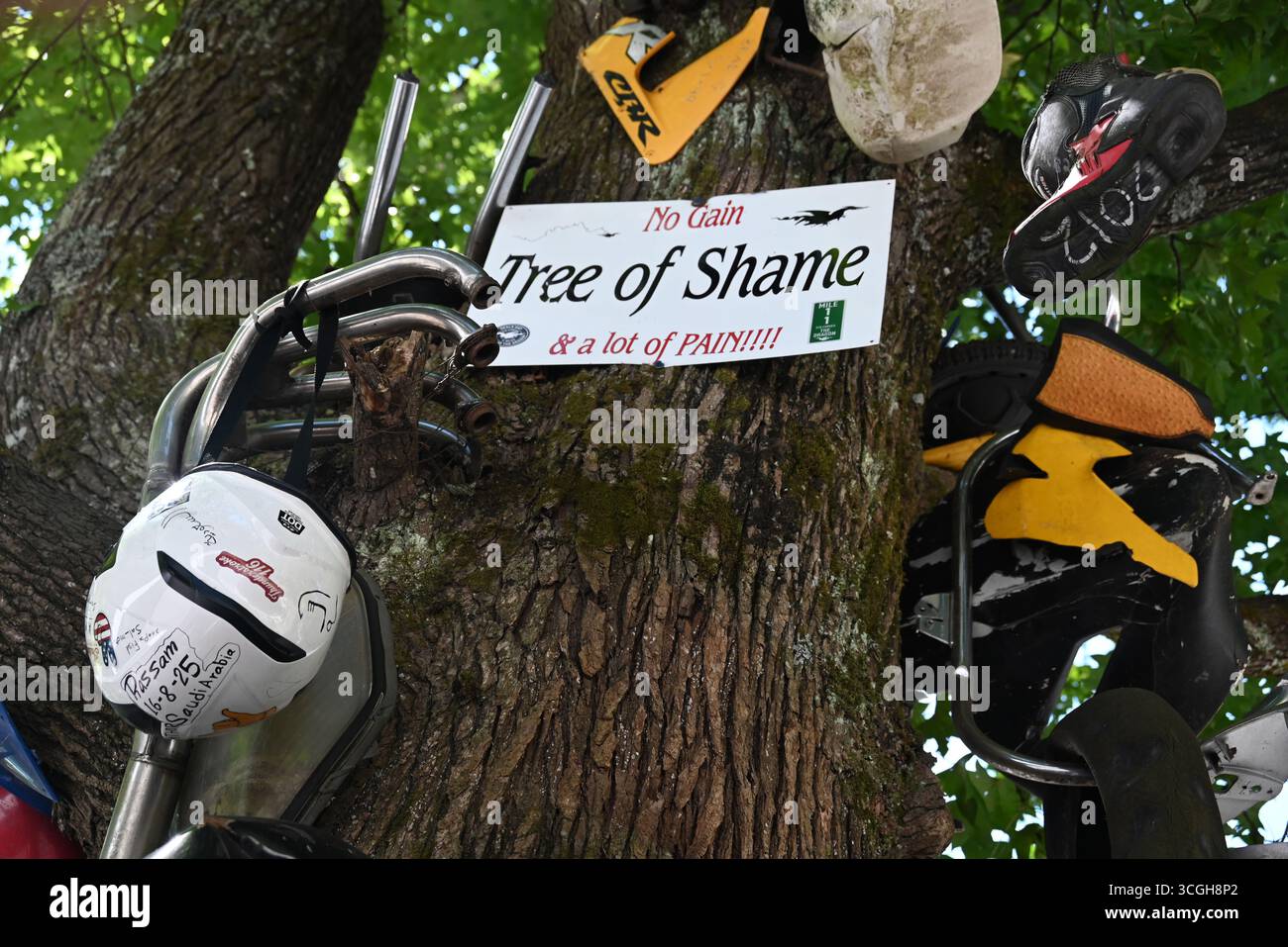 L'albero della vergogna, drappeggiato con parti rotte di moto e auto che hanno perso il controllo e distrutto la coda del Drago Foto Stock