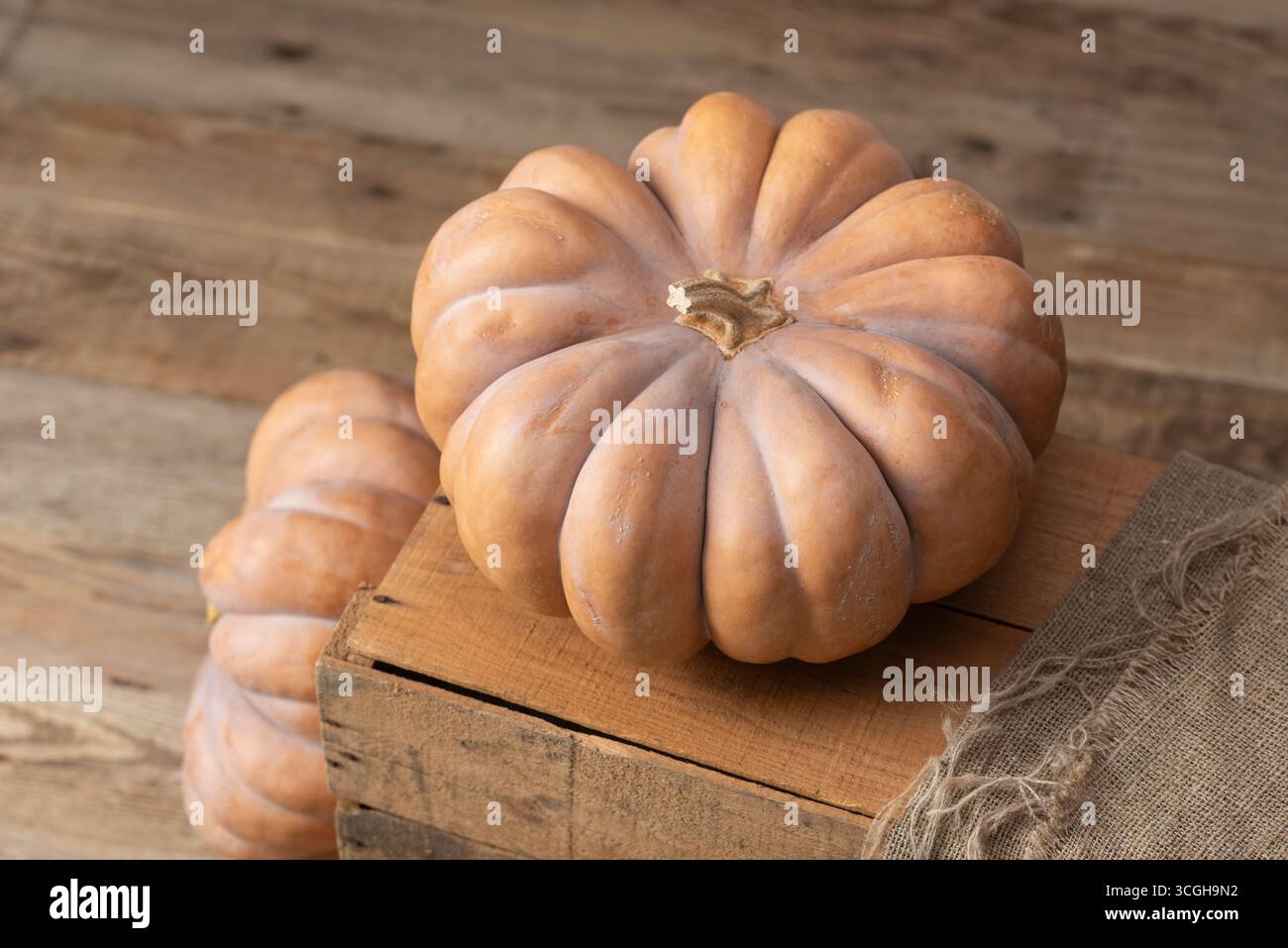 Zucche Heirloom Muscade De Provence disposte su una cassa di legno rustica in un fienile Foto Stock
