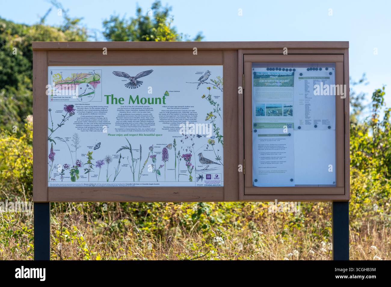 Bacheca informativa sulla fauna selvatica e i fiori selvatici sul Monte vicino a Guildford, Surrey, Inghilterra, Regno Unito, una striscia di prateria di gesso sulla schiena di Hog Foto Stock