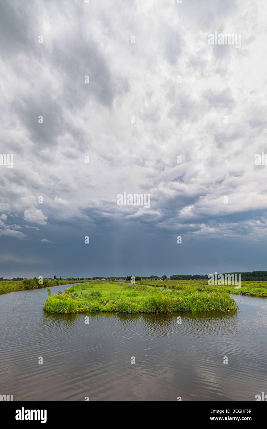 Cielo scuro con docce a pioggia sul ricco paesaggio olandese dei polder vicino a Gouda, Paesi Bassi occidentali Foto Stock