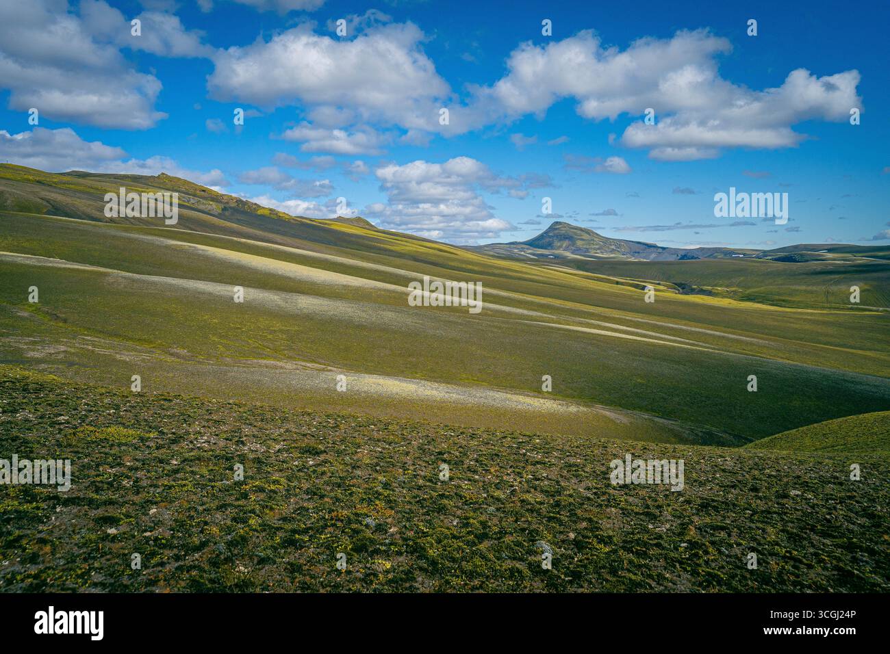 Colline ondulate ricoperte di muschio che si estendono attraverso gli altopiani islandesi sotto un cielo blu vivace con nuvole sparse Foto Stock