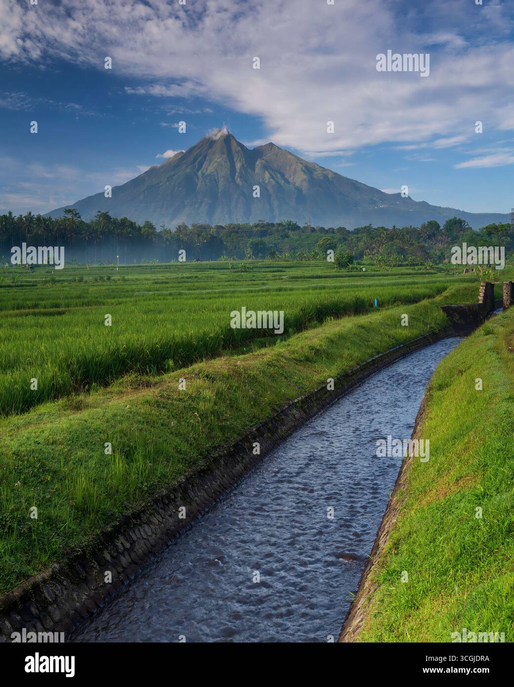 Il lussureggiante paesaggio agricolo delle pendici del Monte Merbabu è una meraviglia naturale mozzafiato che mette in mostra la splendida bellezza della regione Foto Stock