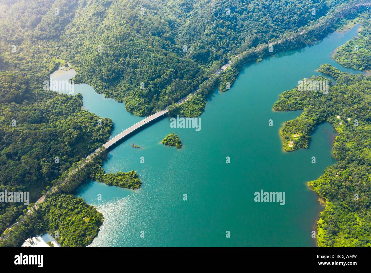 Un ponte attraversa un vivace lago verde circondato da alberi lussureggianti. Foto Stock