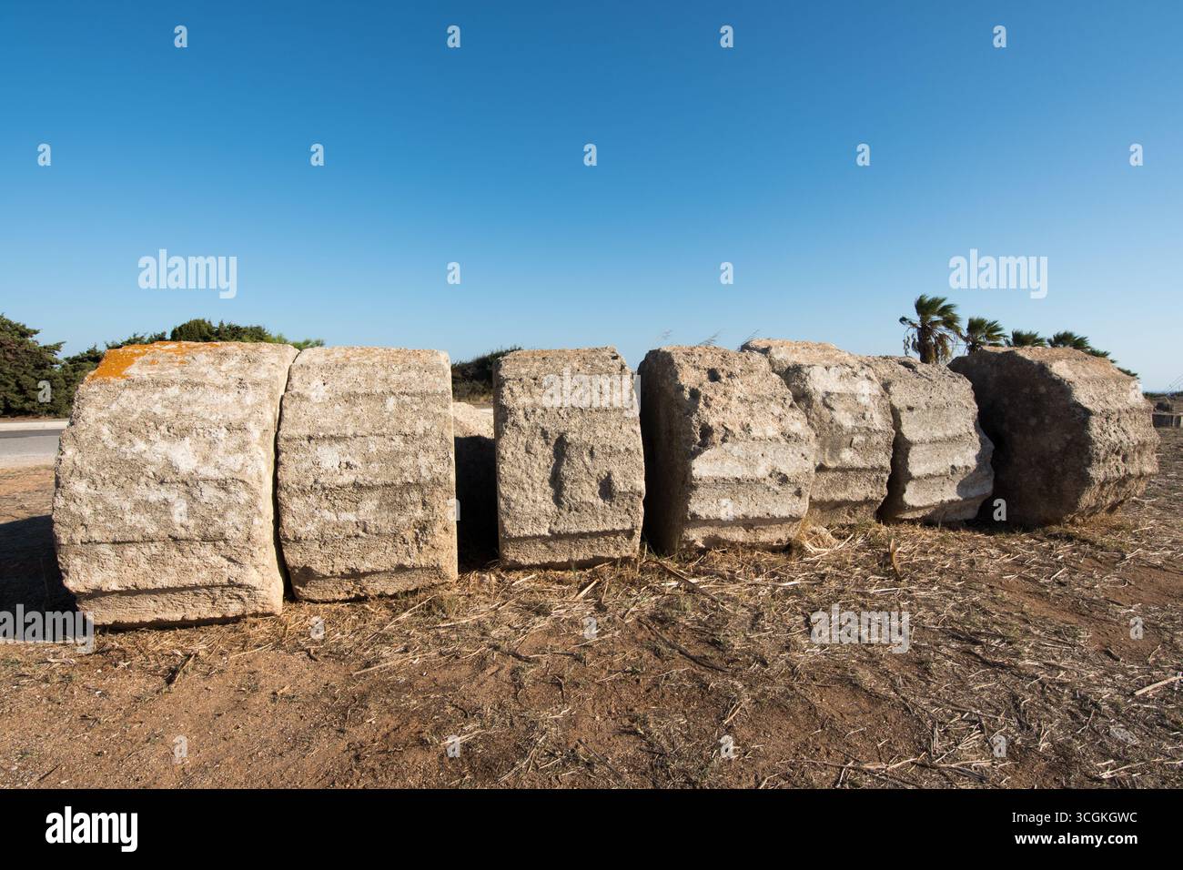 Tempio di Atena Polia e Zeus Polieus Foto Stock