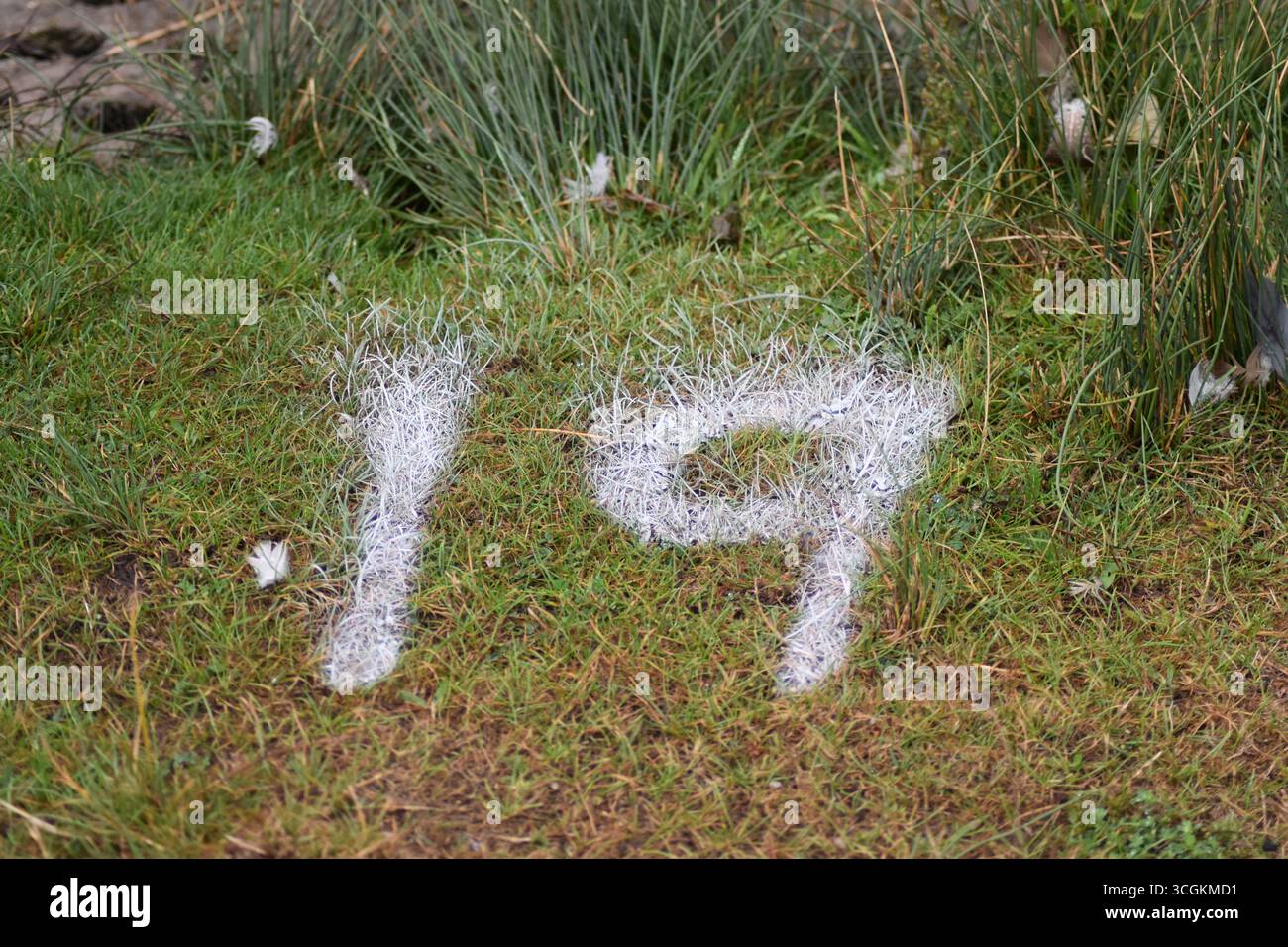 Il numero 19 scritto a terra in gesso. Foto Stock