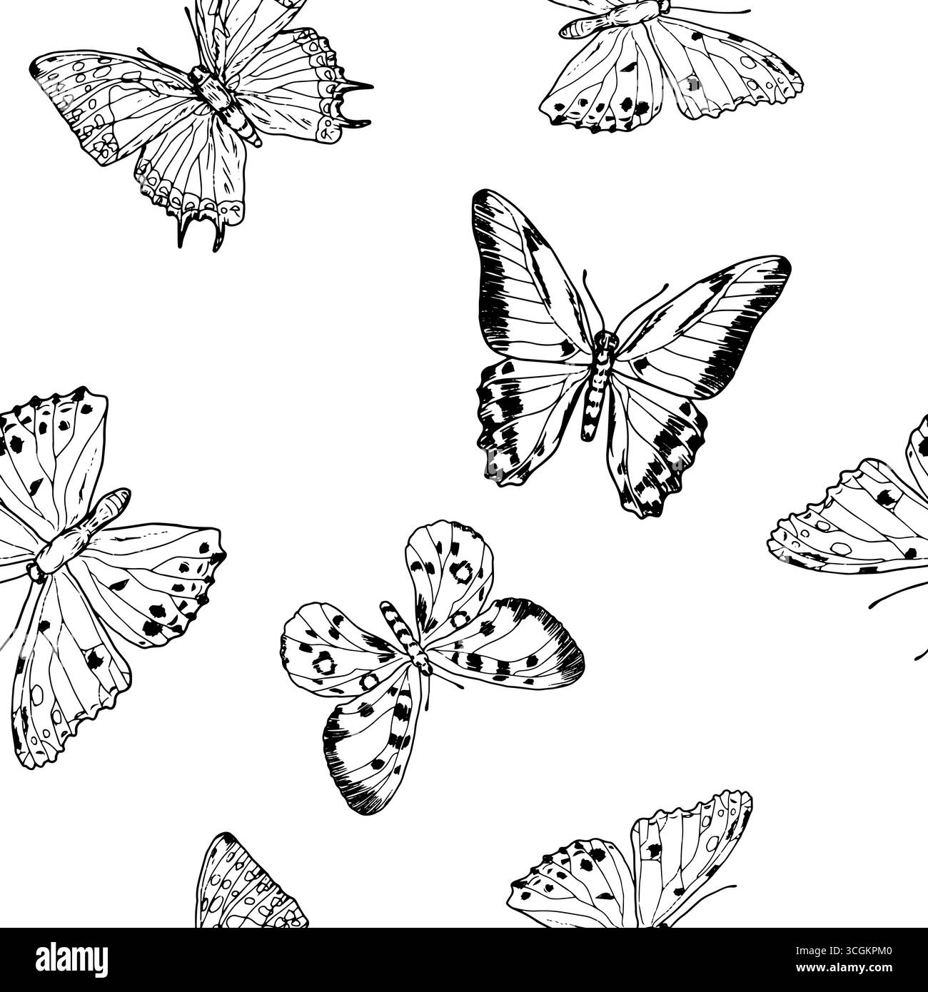 Farfalle aggraziate su pattern senza cuciture, schizzi in bianco e nero. Illustrazione vettoriale. Farfalle primaverili ed estive, un insetto, isolato su un bianco b Illustrazione Vettoriale