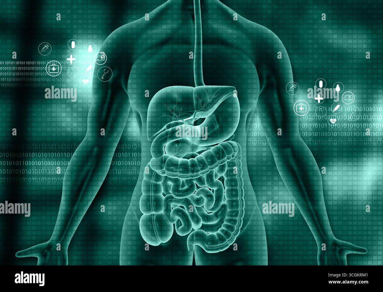 Corpo umano con anatomia del sistema digerente su sfondo medico. illustrazione 3d. Foto Stock