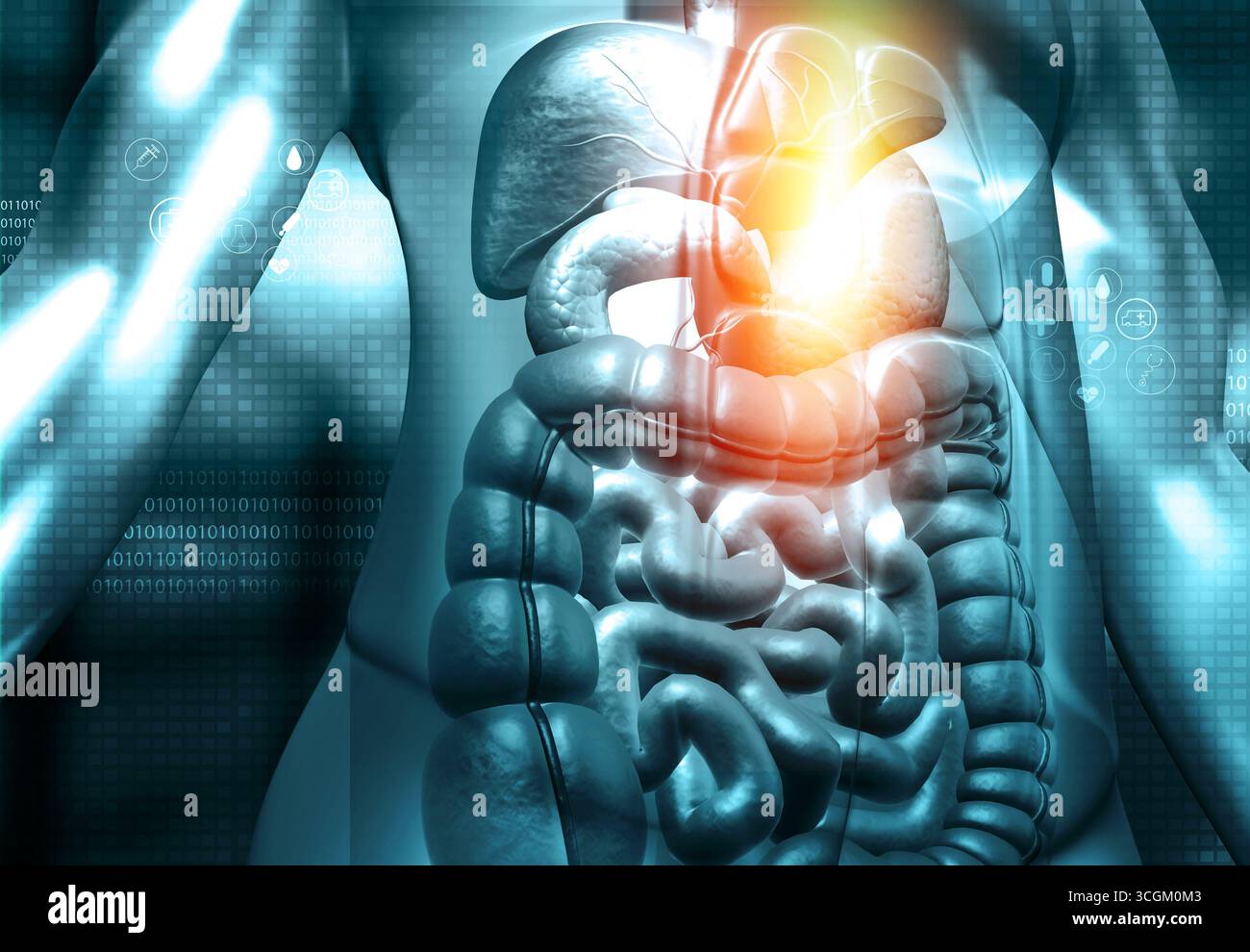 Corpo umano con anatomia del sistema digerente su sfondo scientifico. illustrazione 3d. Foto Stock