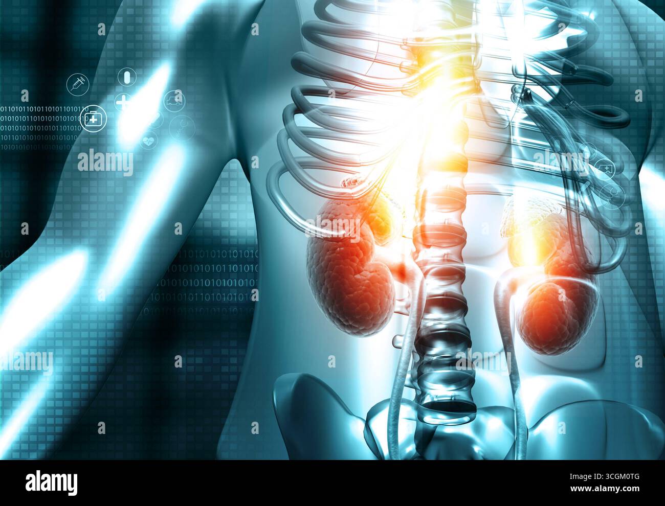 Corpo umano con anatomia renale su sfondo scientifico. illustrazione 3d. Foto Stock