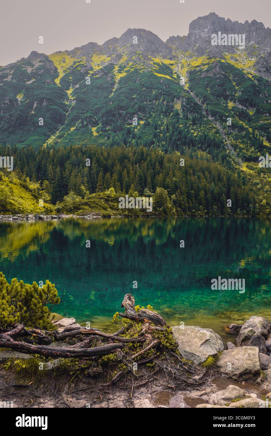 Lago di montagna Foto Stock