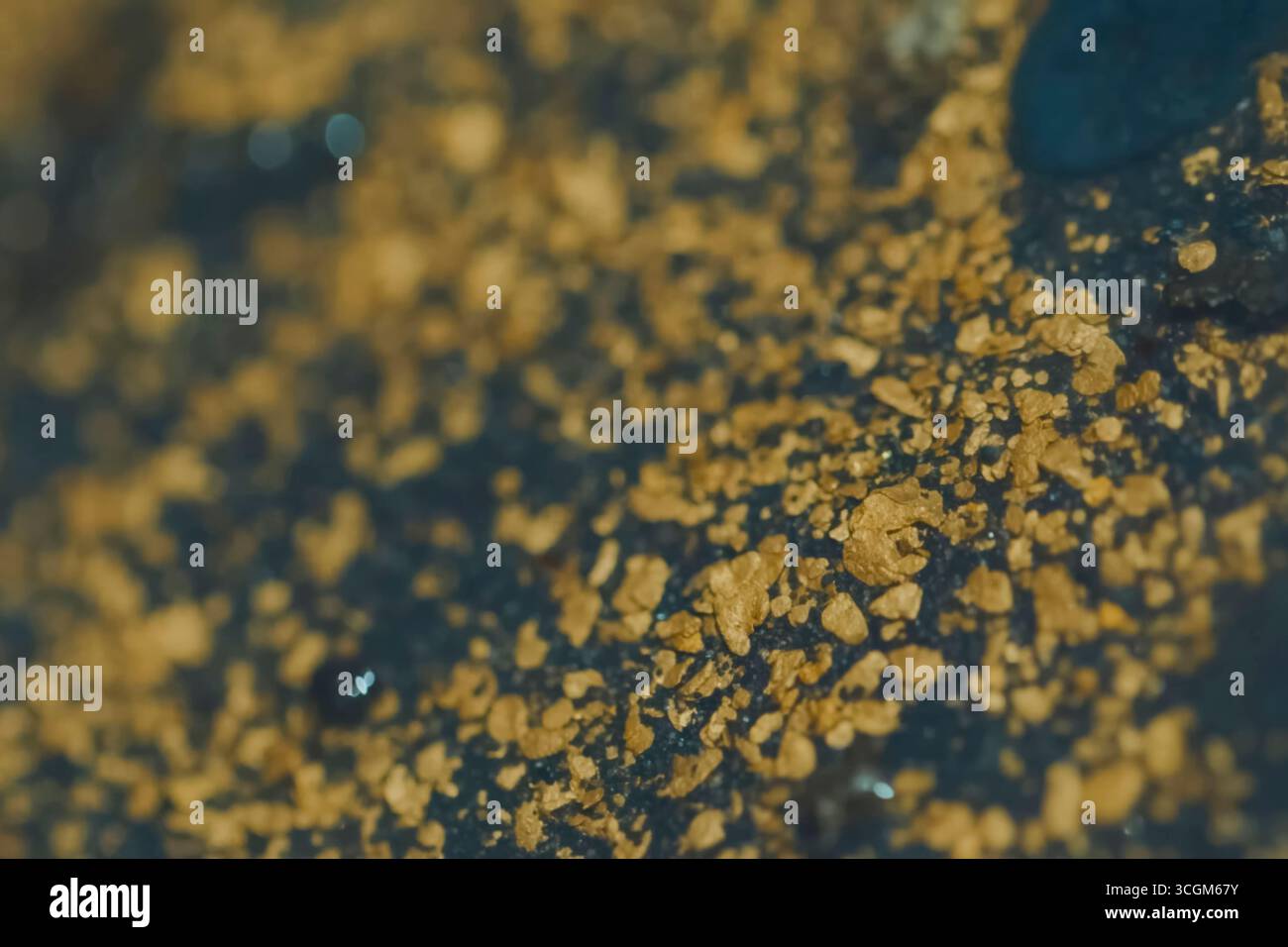 Particelle d'oro nella roccia lavata, foto macro Foto Stock