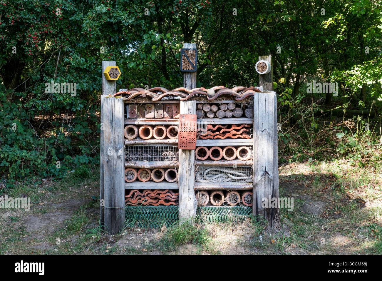 Un bug hotel con una varietà di habitat diversi al Pensthorpe Natural Park nel Norfolk. Foto Stock