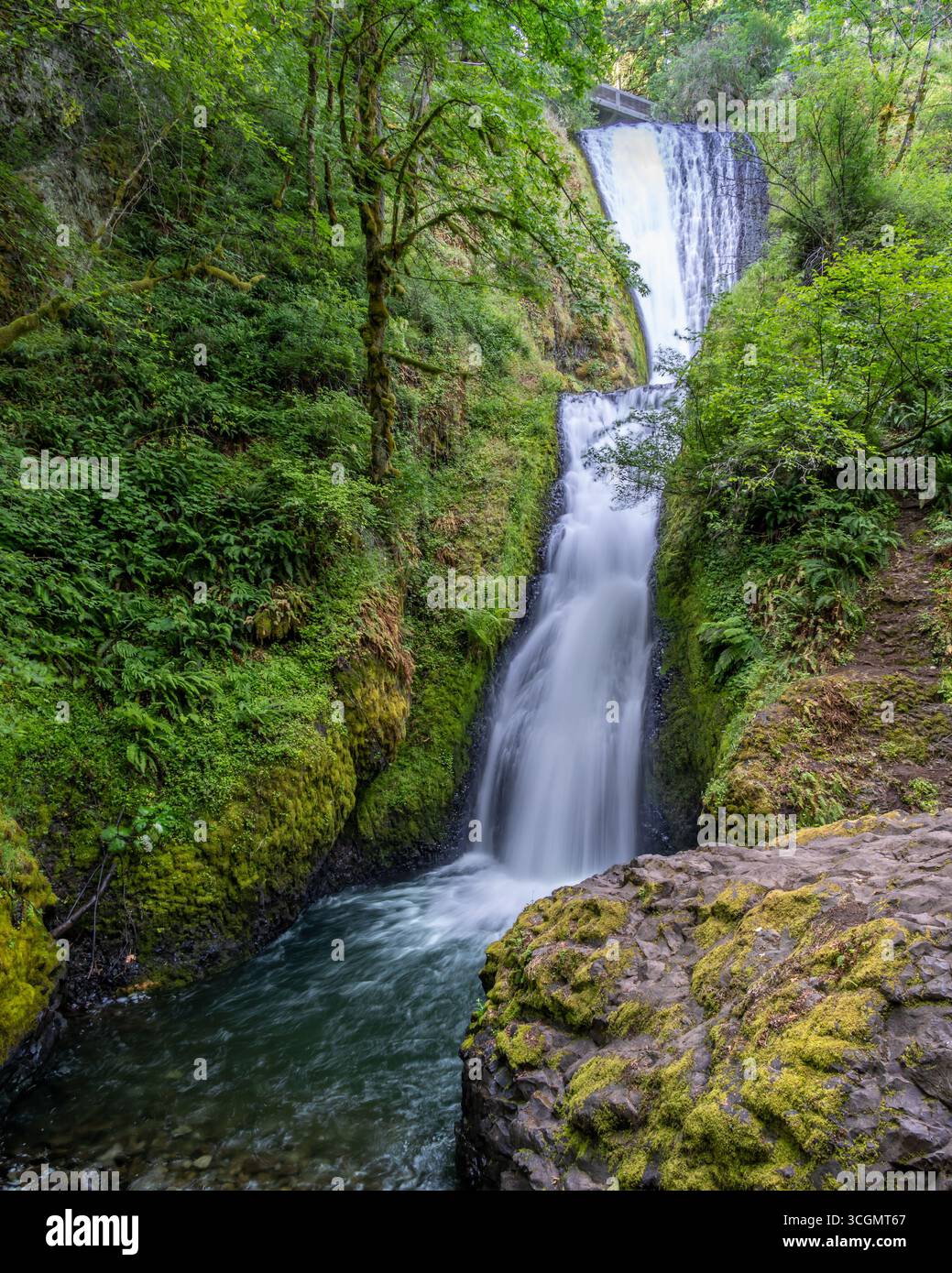Bridal Veil Falls, Bridal Veil Creek, Waterfall Alley, Columbia River Gorge National Scenic area, Oregon. Foto Stock